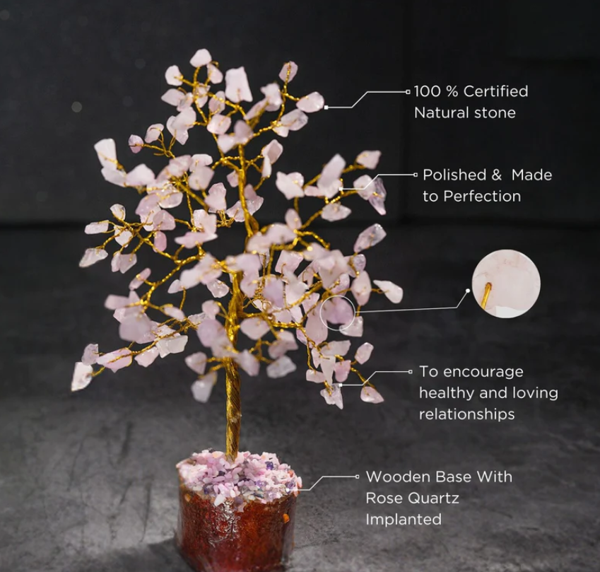 Screenshot 2025-06-19 141423