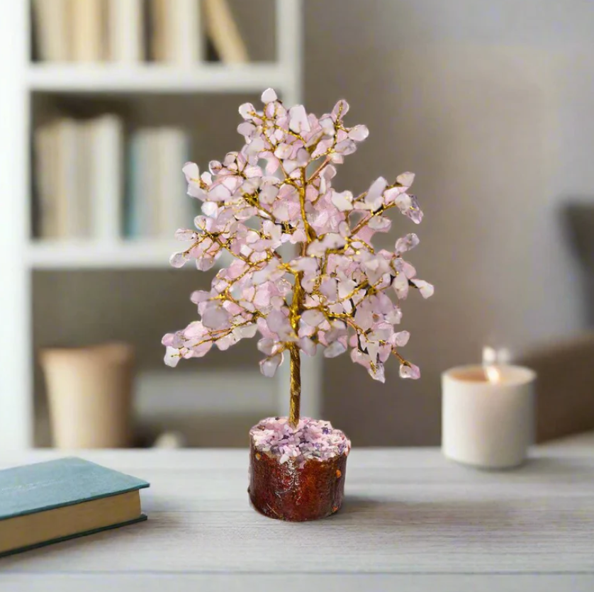 Screenshot 2025-06-19 141459